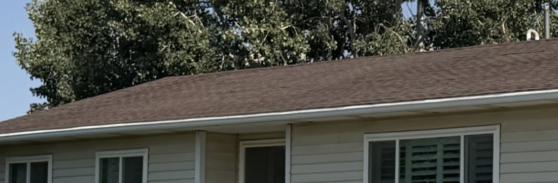 Section of an asphalt shingle roof that has not yet been treated — faded and chalky